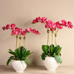 Moroccan Orchid Arrangement - Bloomr