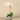 Flowers-Orchid Arrangement in Ceramic Vase-Bloomr