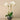 Flowers-Orchid Arrangement in Ceramic Vase-Bloomr
