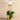 Flowers-Parisian Artificial Orchid Arrangement-Bloomr