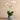 Flowers-Santa Fe Orchid Arrangement-Bloomr
