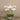 Flowers-Sleek Artificial Orchid Arrangement-Bloomr