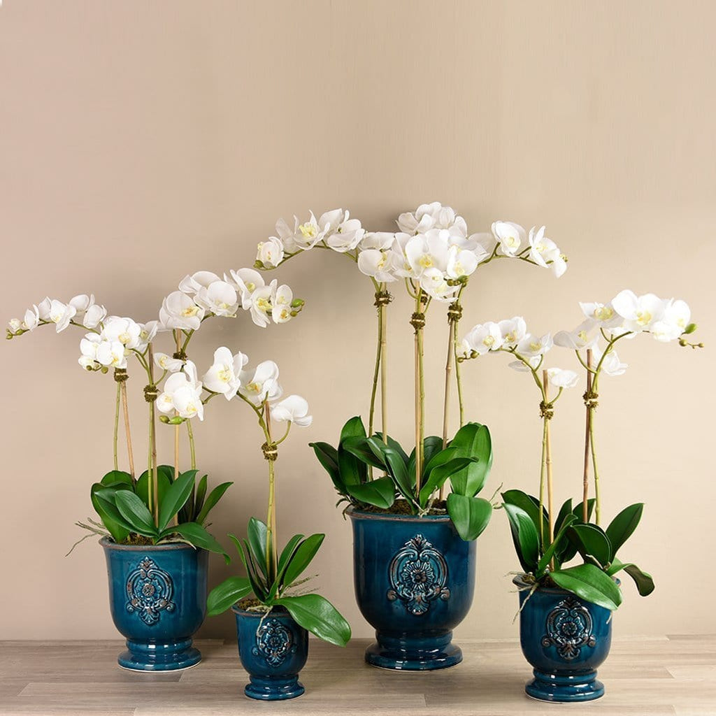 Artificial Orchid Arrangement - Bloomr