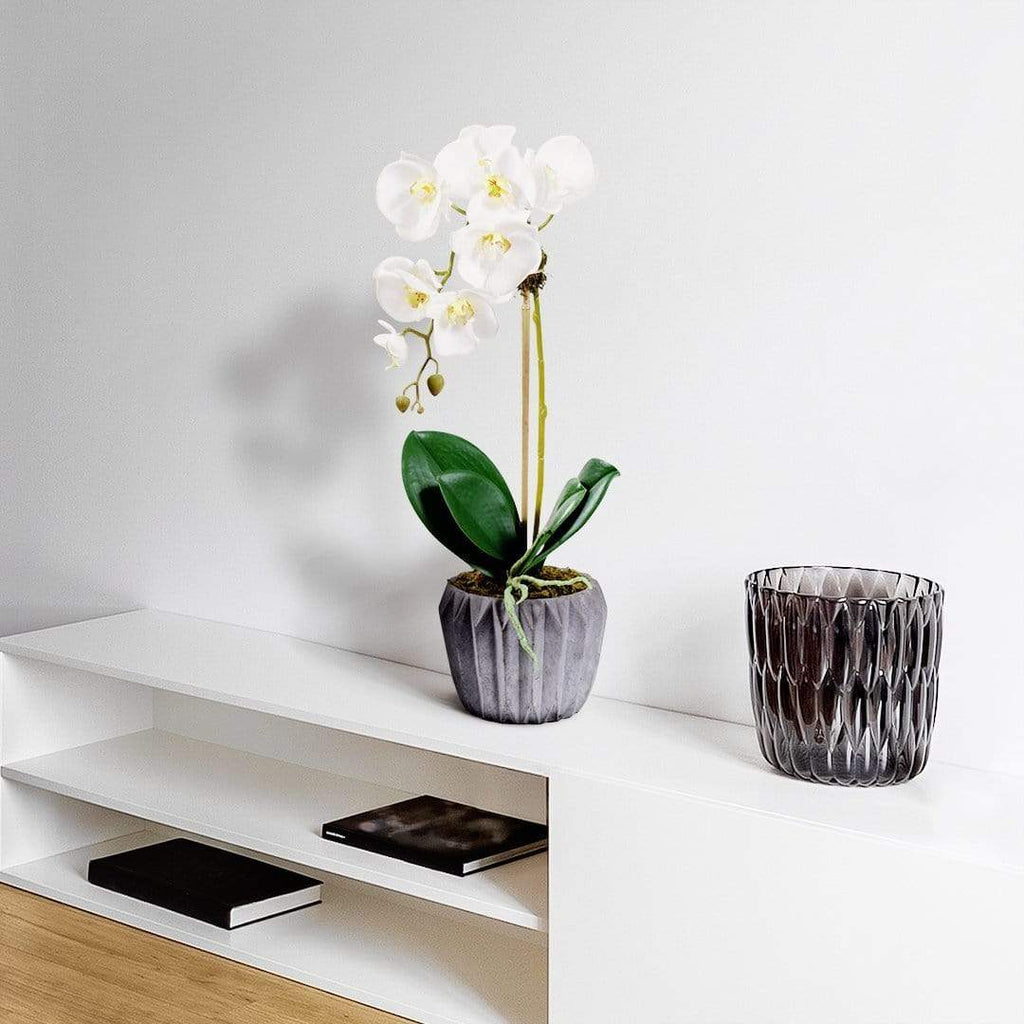 Modern Orchid Arrangement - Bloomr