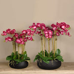 Oasis Artificial Orchids in Black Pot - Bloomr