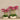 Flowers-Oasis Artificial Orchid Arrangement-Bloomr