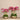 Flowers-Oasis Artificial Orchids in Gold Pot-Bloomr