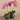 Flowers-Artificial Orchid Arrangement-Bloomr