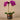 Flowers-Artificial Orchid Arrangement-Bloomr