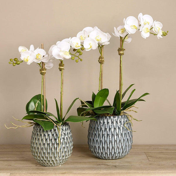 Artificial Orchid Arrangement - Bloomr