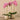 Flowers-Artificial Orchid Arrangement-Bloomr