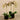 Flowers-Artificial Orchid Arrangement-Bloomr