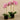 Flowers-Artificial Orchid Arrangement-Bloomr