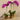 Flowers-Artificial Orchid Arrangement-Bloomr