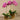 Flowers-Artificial Orchid Arrangement-Bloomr