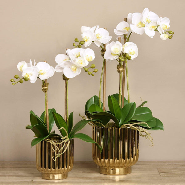 Artificial Orchid Arrangement - Bloomr