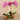 Flowers-Artificial Orchid Arrangement-Bloomr