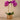 Flowers-Artificial Orchid Arrangement-Bloomr