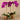 Flowers-Artificial Orchid Arrangement-Bloomr