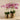 Flowers-Artificial Orchid in Gold Vase-Bloomr