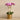 Flowers-Artificial Orchid in Gold Vase-Bloomr