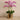 Flowers-Artificial Orchid in Gold Vase-Bloomr