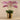 Flowers-Artificial Orchid in Gold Vase-Bloomr