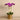 Flowers-Artificial Orchid in Gold Vase-Bloomr