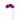 Flowers-Orchid Stem-Bloomr