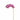 Flowers-Orchid Stem-Bloomr