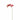 Flowers-Orchid Stem-Bloomr
