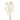 Flowers-Orchid Stem-Bloomr