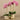 Flowers-Artificial Orchid Arrangement-Bloomr