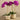 Flowers-Artificial Orchid Arrangement-Bloomr