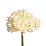 Peony & Hydrangea Bouquet - Bloomr