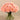 Floral Arrangement-Artificial Chrysanthemum in Glass Vase-Bloomr