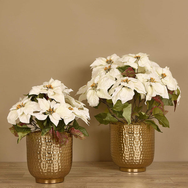 Poinsettia Arrangement in Metal Vase - Bloomr