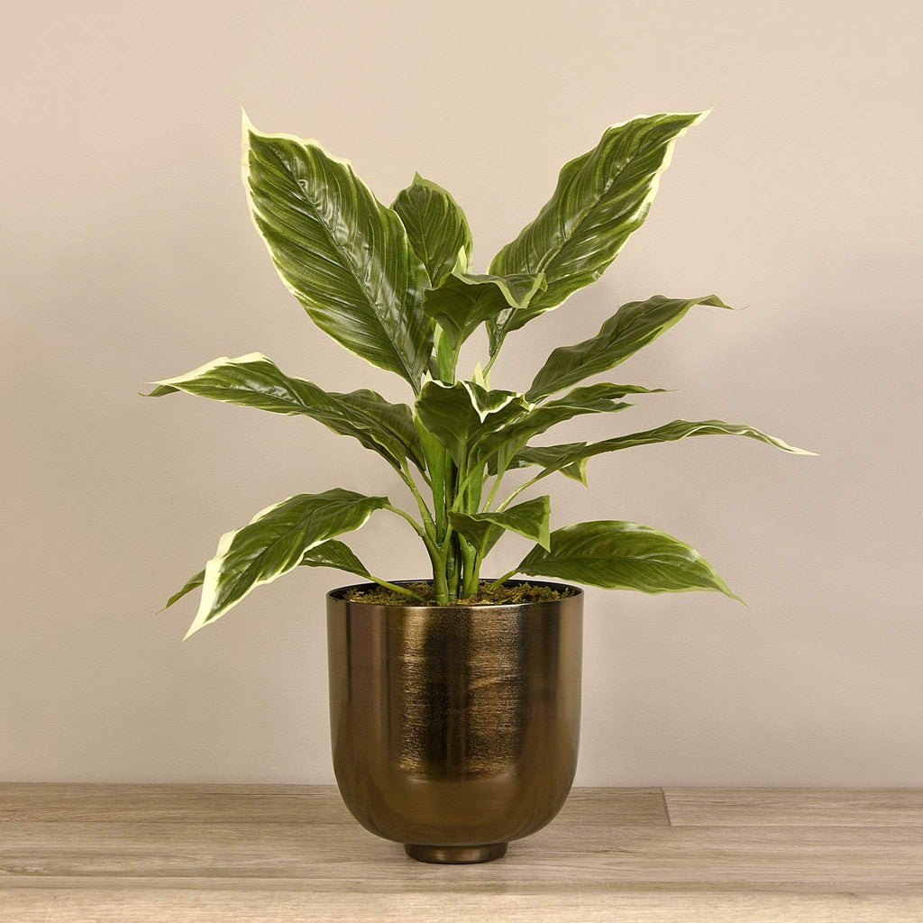 Artificial Potted Hosta Leaf - Bloomr