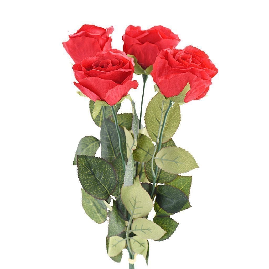 Rose - Bloomr