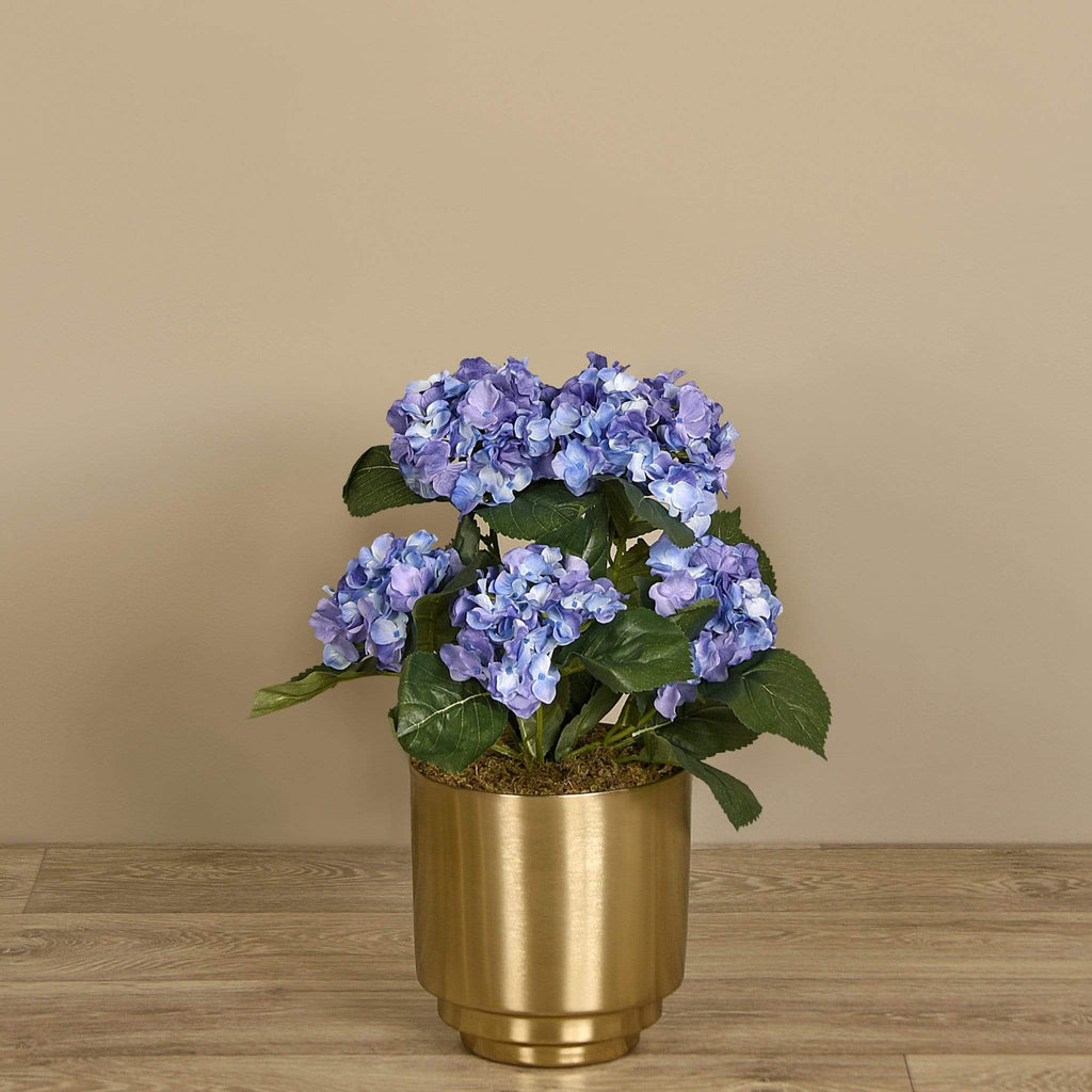 Hydrangea Arrangement - Bloomr