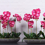 Contemporary Artificial Orchid Arrangement - Bloomr
