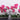 Flowers-Contemporary Artificial Orchid Arrangement-Bloomr