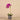 Flowers-Artificial Orchid Arrangement-Bloomr