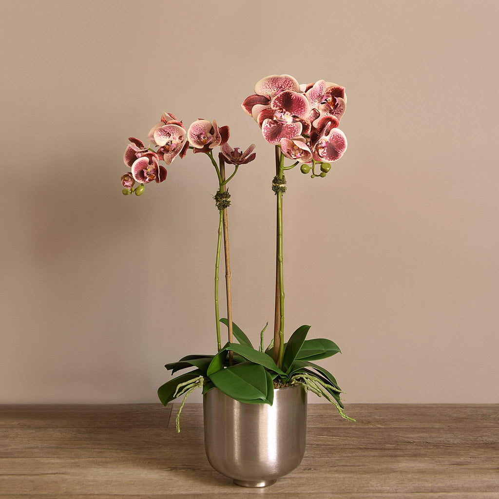 Artificial Orchid Arrangement - Bloomr