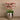 Flowers-Artificial Orchid Arrangement-Bloomr