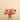 Flowers-Artificial Peony Arrangement in Glass Vase-Bloomr