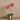 Flowers-Artificial Orchid Arrangement-Bloomr