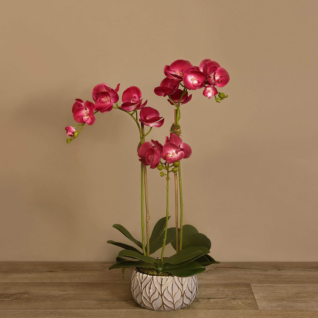 Artificial Orchid Arrangement - Bloomr