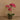 Flowers-Artificial Orchid Arrangement-Bloomr