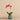 Flowers-Pearl Orchid Arrangement-Bloomr